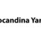 Locandina Yaris
